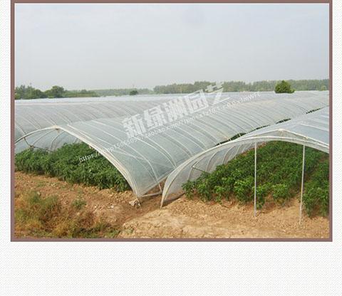 塑料布薄膜农用白色地膜加厚除防草专用黑色地膜蔬菜果树苗保温膜